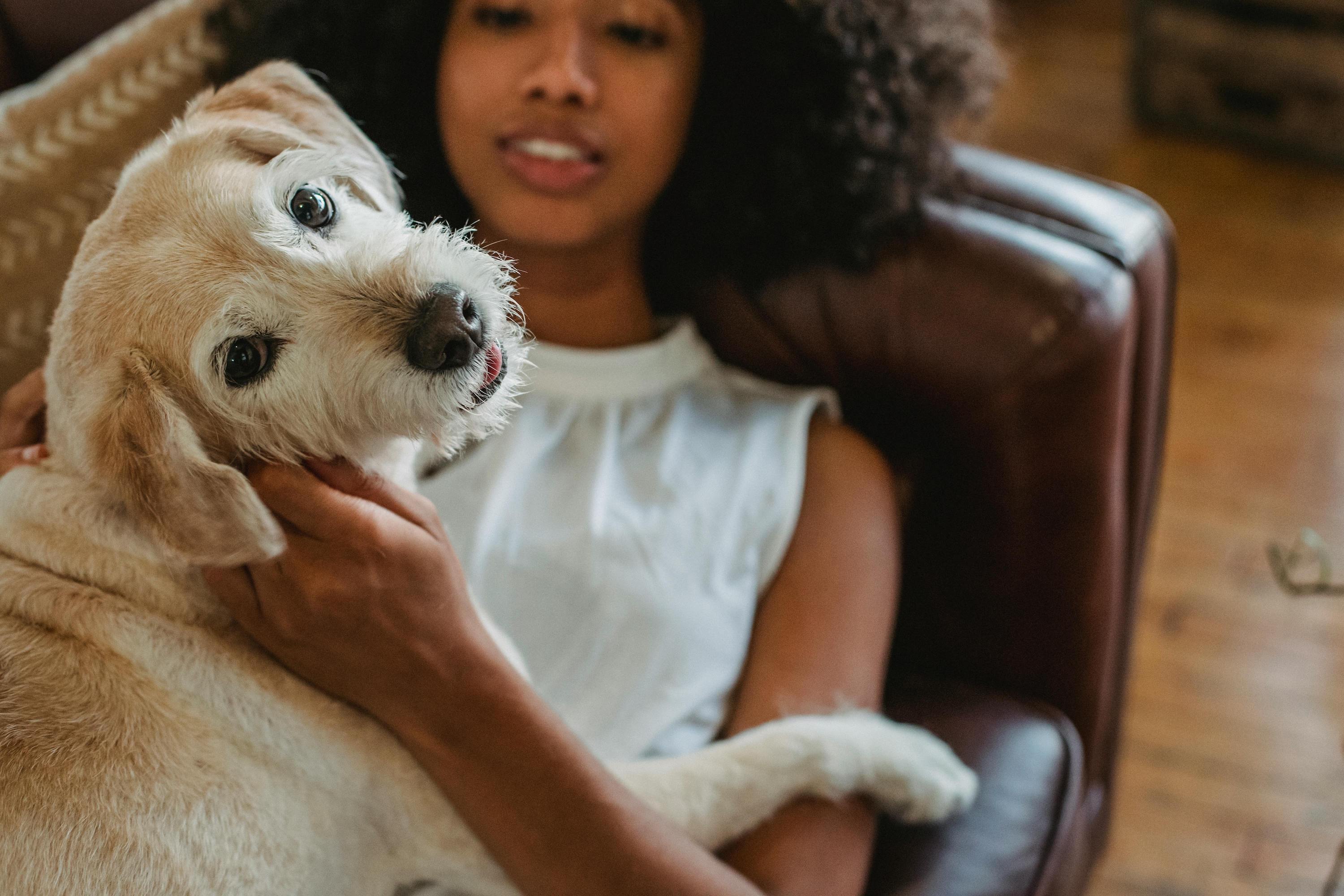 Pet Care